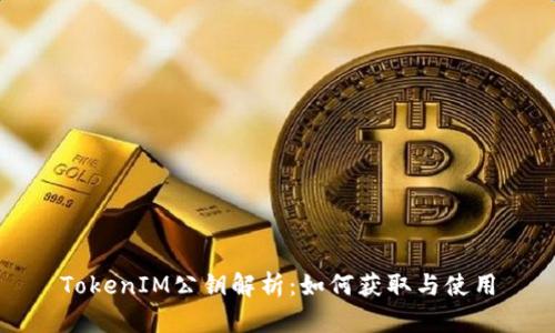 TokenIM公钥解析：如何获取与使用