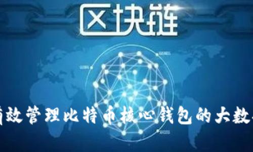 如何有效管理比特币核心钱包的大数据同步