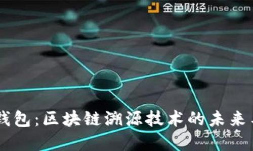 tPay钱包：区块链溯源技术的未来与应用
