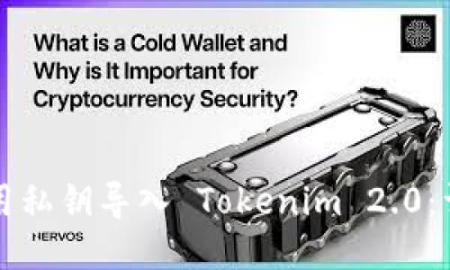 如何使用私钥导入 Tokenim 2.0：详细指南