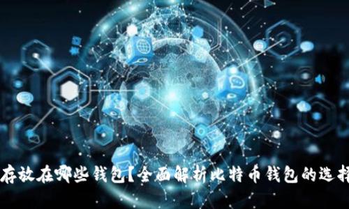 比特币存放在哪些钱包？全面解析比特币钱包的选择与使用