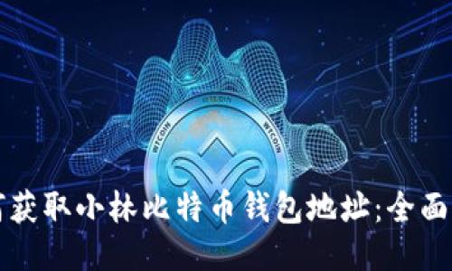 如何获取小林比特币钱包地址：全面指南
