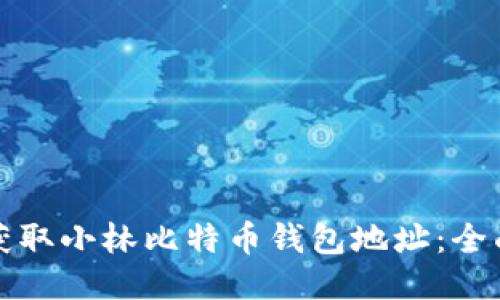 如何获取小林比特币钱包地址：全面指南