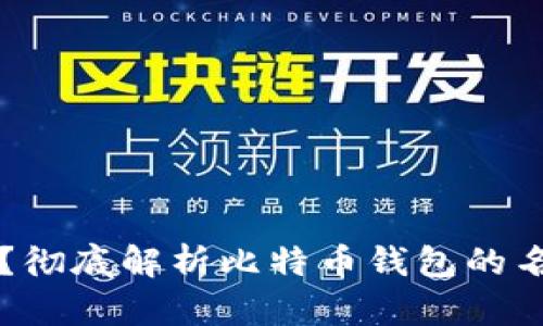 比特币钱包改名字了吗？彻底解析比特币钱包的名称变化及其背后的原因