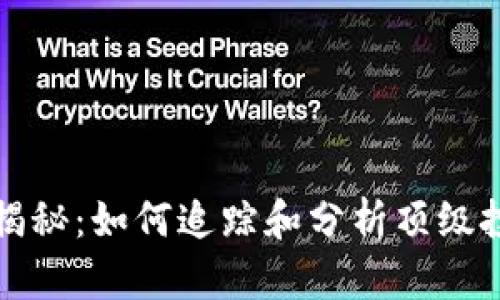 比特币富豪钱包揭秘：如何追踪和分析顶级投资者的持币情况