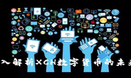 Tokenim XCH：深入解析XCH数字货币的未来发展与投资机会