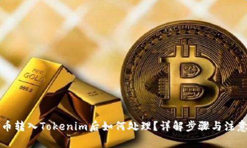 狗狗币转入Tokenim后如何处理？详解步骤与注意事项