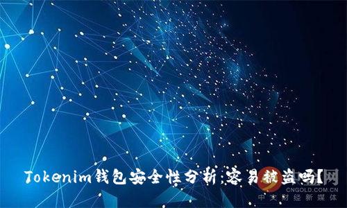 Tokenim钱包安全性分析：容易被盗吗？