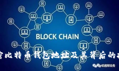 如何解密比特币钱包地址及其背后的技术原理