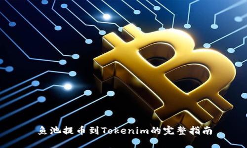 鱼池提币到Tokenim的完整指南
