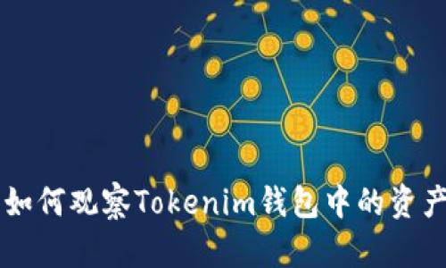 TP钱包如何观察Tokenim钱包中的资产和交易
