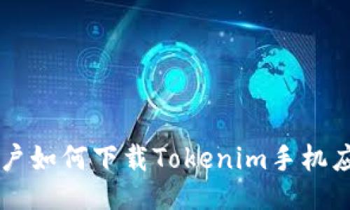 国内用户如何下载Tokenim手机应用指南