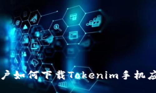 国内用户如何下载Tokenim手机应用指南