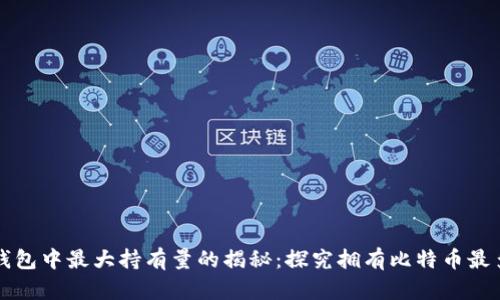 比特币钱包中最大持有量的揭秘:探究拥有比特币最多的钱包