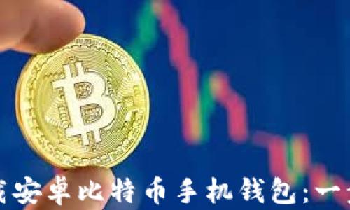 
如何下载安卓比特币手机钱包：一步步指南