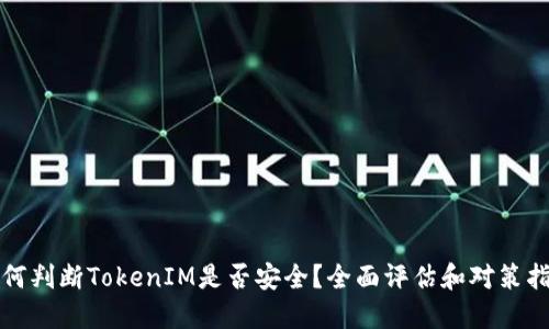 如何判断TokenIM是否安全？全面评估和对策指南