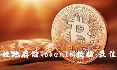 如何安全有效地存储TokenIM数据：最佳实践与技巧