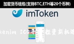 全面解析Tokenim ICO平台：投资新机遇与风险防范