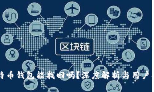 比特币钱包能找回吗？深度解析与用户指南