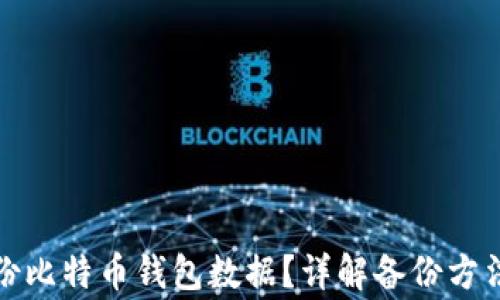 
如何安全备份比特币钱包数据？详解备份方法与常见问题