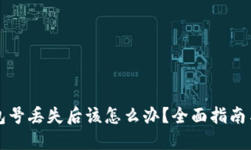 比特币钱包号丢失后该怎么办?全面指南与解决方案