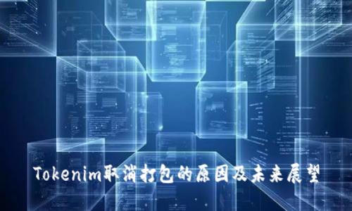 Tokenim取消打包的原因及未来展望