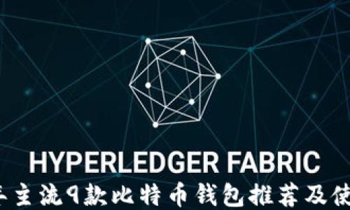 
2023年主流9款比特币钱包推荐及使用指南