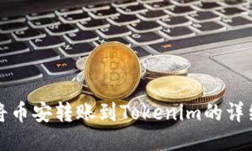 如何将币安转账到Tokenim的详细指南