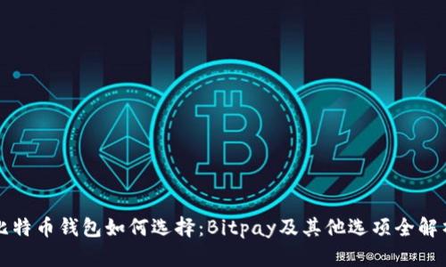 比特币钱包如何选择:Bitpay及其他选项全解析