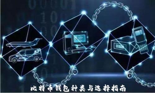 比特币钱包种类与选择指南
