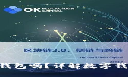  USDT可以打入数字钱包吗？详解数字钱包的使用及其安全性