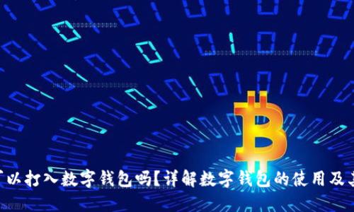  USDT可以打入数字钱包吗？详解数字钱包的使用及其安全性