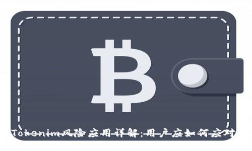 Tokenim风险应用详解:用户应如何应对?