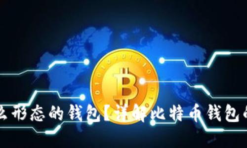 比特币是什么形态的钱包？详解比特币钱包的类型与功能