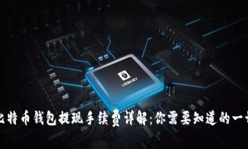 比特币钱包提现手续费详解：你需要知道的一切