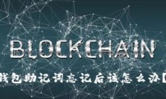 tokenim钱包助记词忘记后该