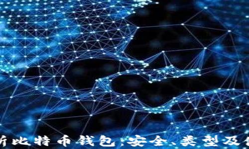 
全面解析比特币钱包：安全、类型及使用指南