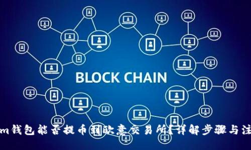 ## 

Tokenim钱包能否提币到欧意交易所？详解步骤与注意事项