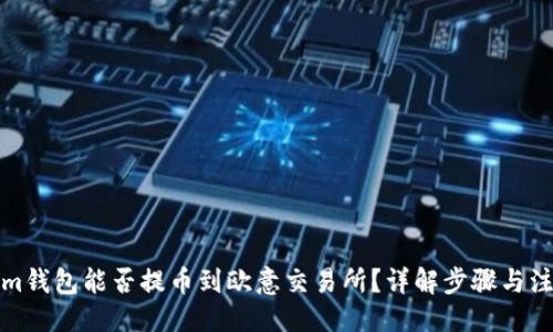 ## 

Tokenim钱包能否提币到欧意交易所？详解步骤与注意事项