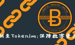 如何安全导入私钥至Toke