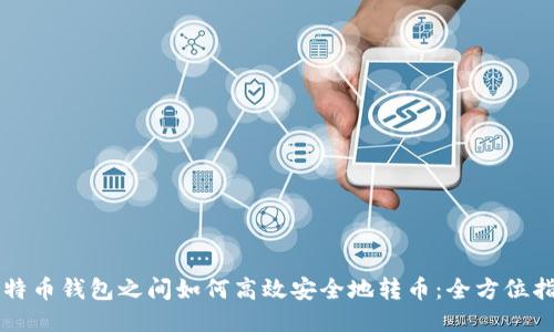 比特币钱包之间如何高效安全地转币:全方位指南