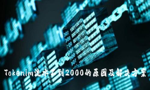 Tokenim流水不到2000的原因及解决方案