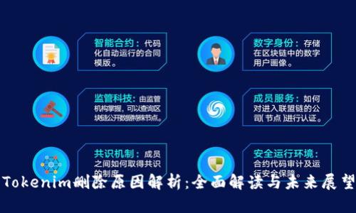 Tokenim删除原因解析:全面解读与未来展望