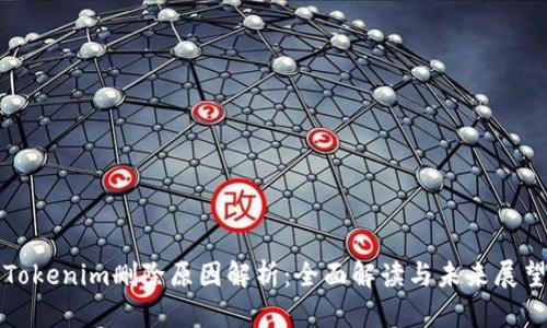 Tokenim删除原因解析：全面解读与未来展望