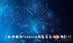 如何找到Tokenim钱包导出的