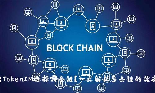 FIL转TokenIM选择哪条链？一文解析多条链的优劣对比