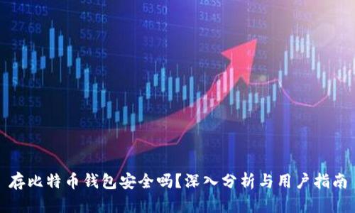 存比特币钱包安全吗?深入分析与用户指南