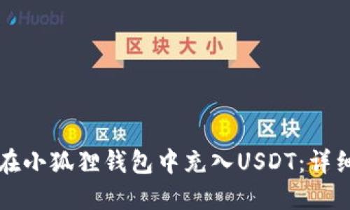 如何在小狐狸钱包中充入USDT：详细指南