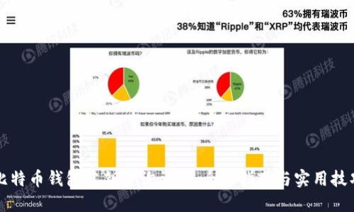 比特币钱包公钥查询详解：全面指南与实用技巧