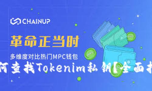 如何查找Tokenim私钥？全面指南